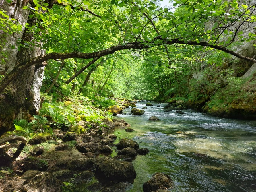 Đalovića klisura dobija i formalnog zaštitnika