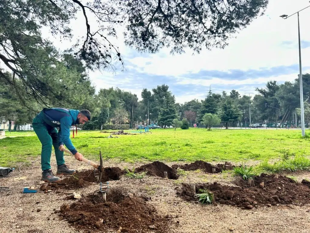 Tokom godine uredili 100.000 metara kvadratnih javnih zelenih površina u Podgorici