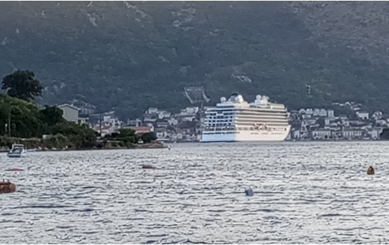 „Viking star“ u Luci Kotor