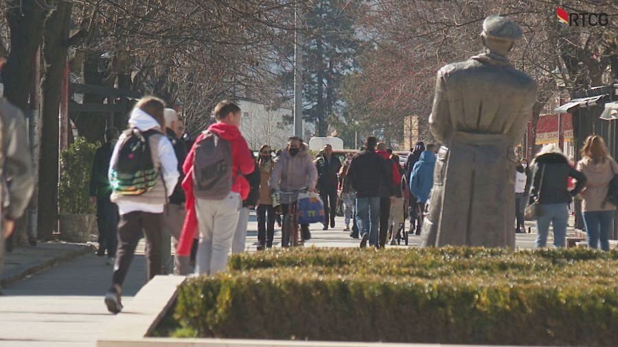 Kako se glasalo u Nikšiću i Novom: Od preletača do opozicionog bojkota
