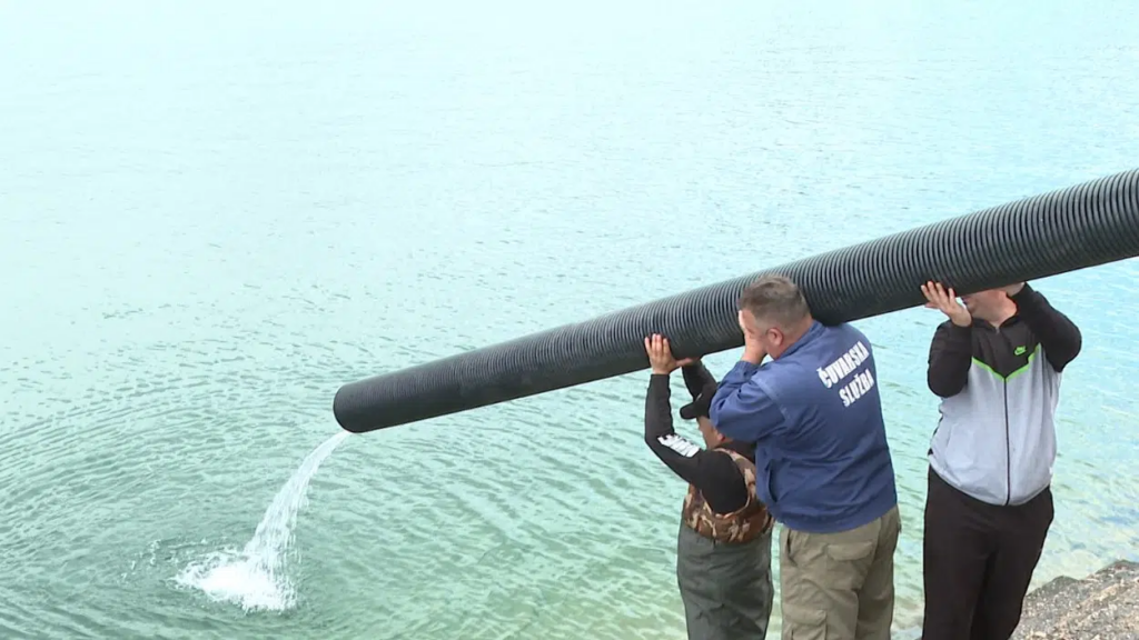 (VIDEO) Prva ovogodišnja akcija: Tri jezera u Nikšiću poribljena sa 2.250 kilograma pastrmke