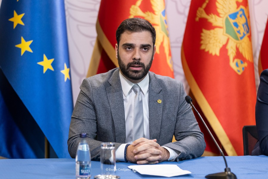 Radulović: Uplovljavanje mini kruzera Emerald Azzurra u Portonovi od velikog značaja za grad ali i državu