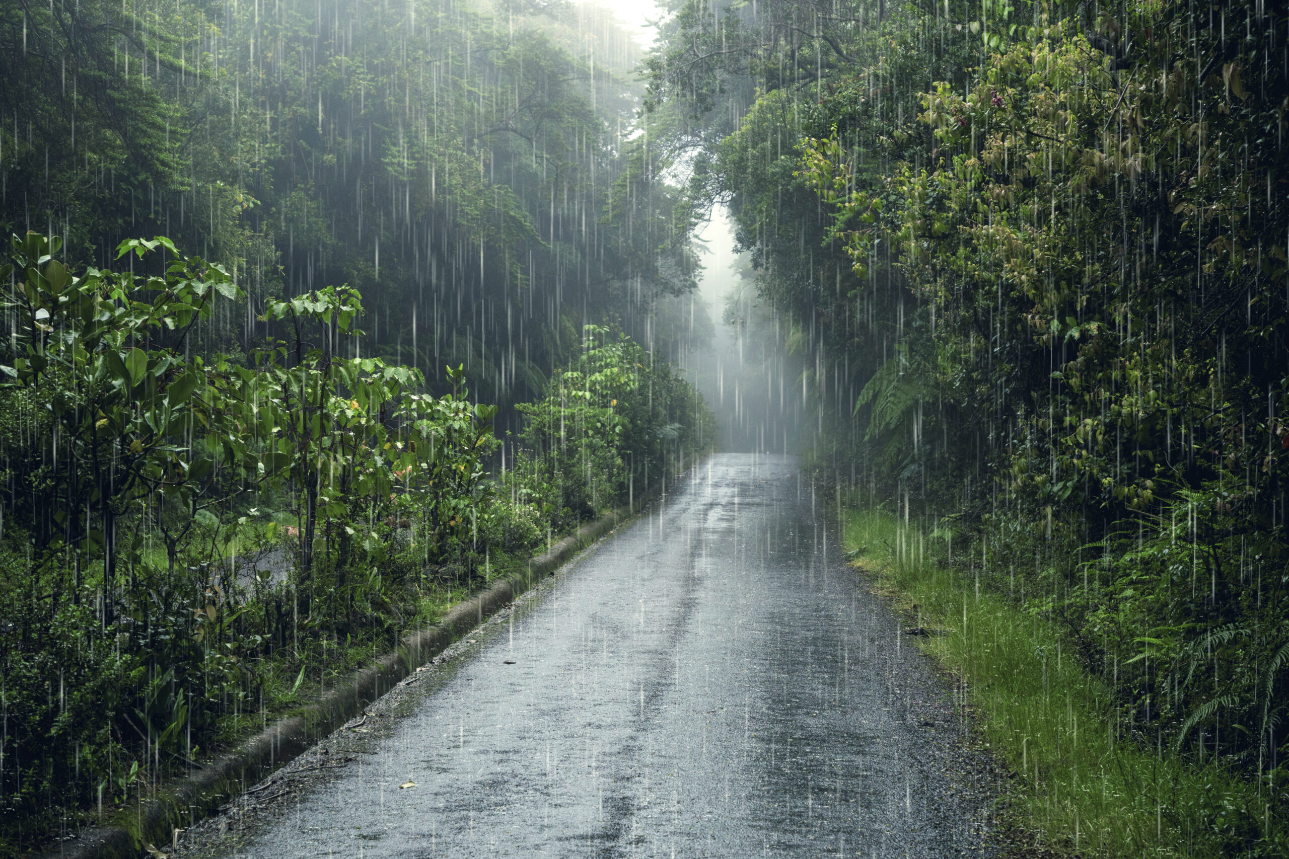 Sjutra narandžasti meteo-alarm: Očekuju se jaki vjetrovi, obilne padavine, grad…