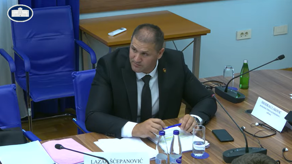 Šćepanović o slučaju Danila Mandića: Policija pravovremeno preuzela sve radnje iz svoje nadležnosti
