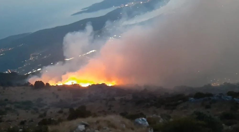 Požar na Lovćenu pod kontrolom, vatrogasci cijelu noć na terenu