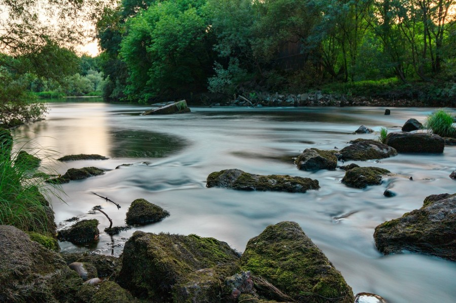 Dan žalosti u Mojkovcu zbog smrti braće