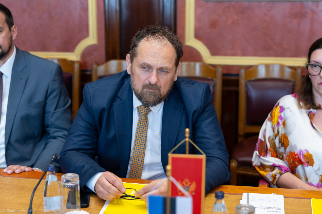 Stojović: Crna Gora ponovo u centru EU politike proširenja