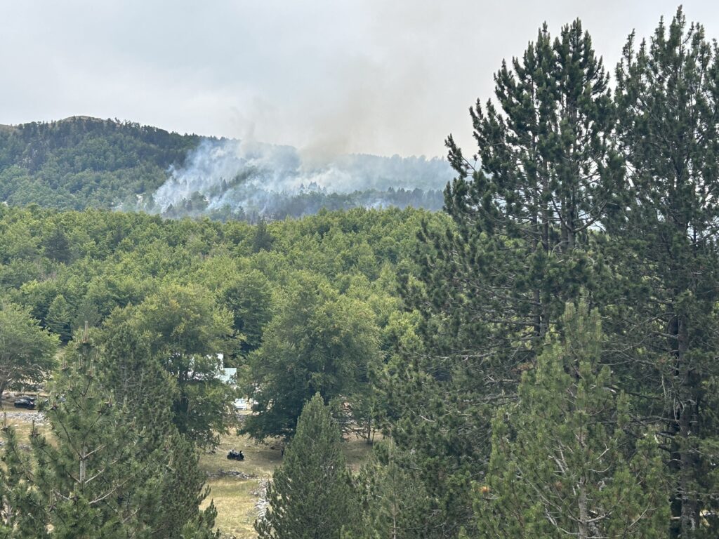 Požar na Dajbabskoj gori pod kontrolom, u Stijeni Piperskoj ugrožene kuće Markovića