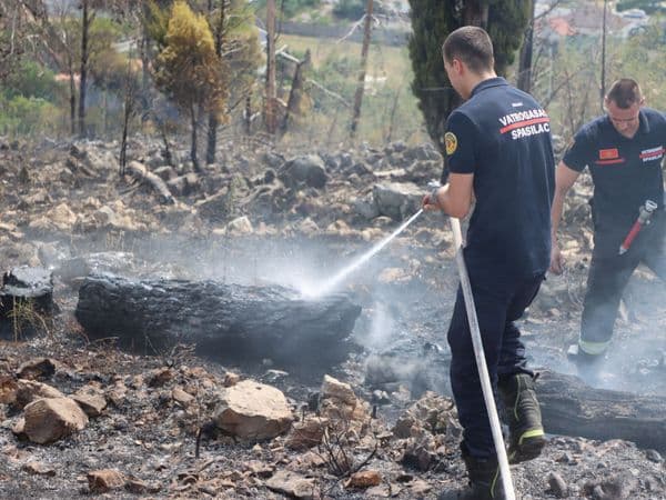 Rakočević: Ne radi se o slučajnim piromanima, već o udruženom kriminalnom poduhvatu
