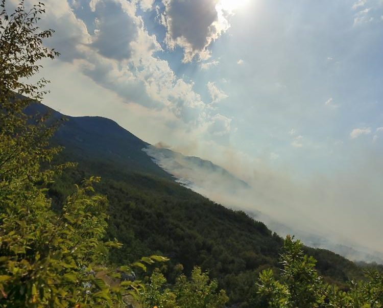 (VIDEO) Novi požari u Nikšiću