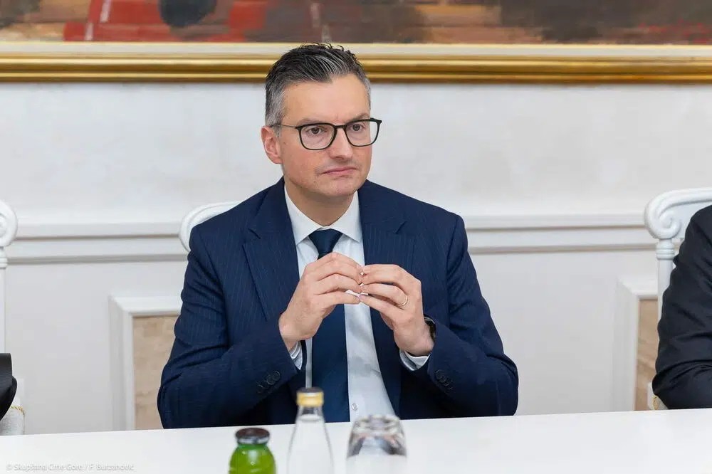 Šarec: Nadležni u Crnoj Gori do sada su dobro odradili posao tokom gašenja požara