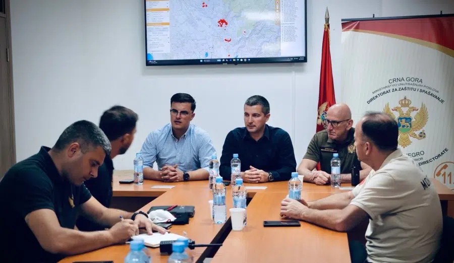 „Nijedna država ne može sama da se izbori sa vatrenim stihijama ovih razmjera“