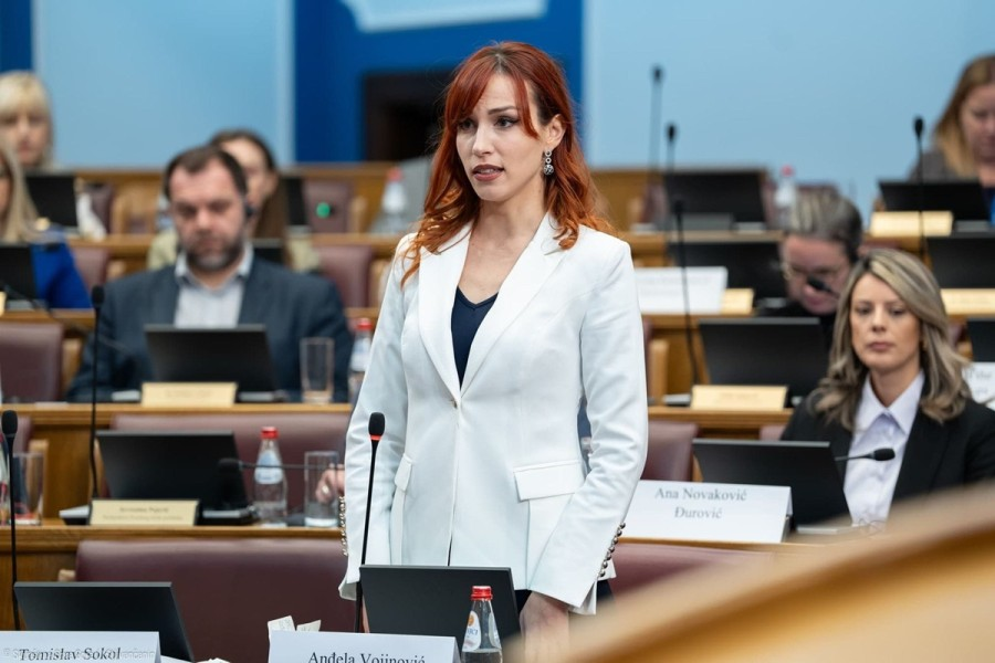 Vojinović: Suspendovane policajce brani suspendovani policajac