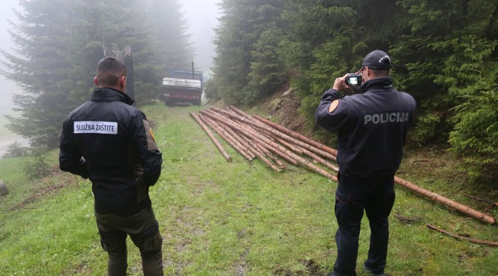 Vještačenja potvrđuju milionsku štetu u NP Prokletije